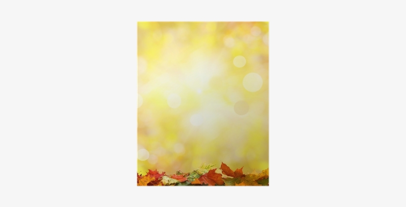 Maple Leaf, transparent png