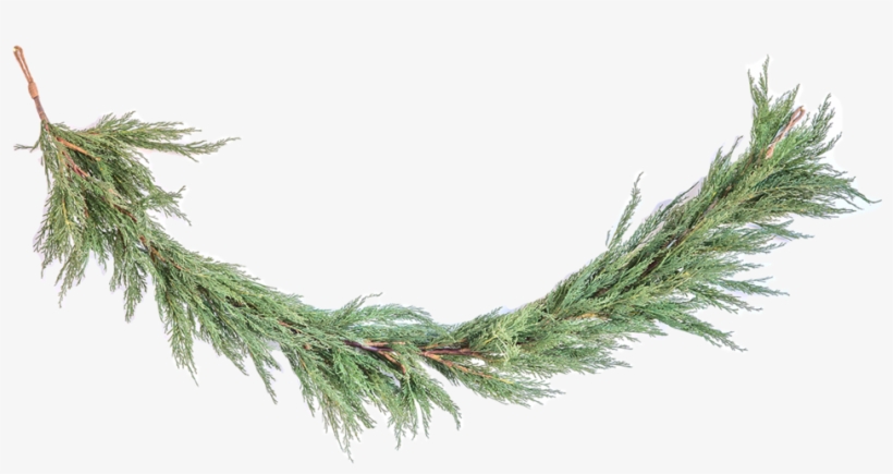 Faux Cedar Garland 1 - Portable Network Graphics, transparent png