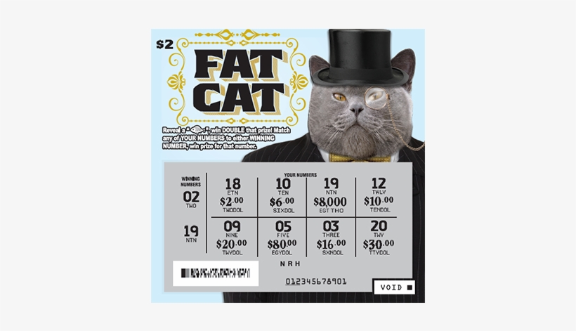 *experience The Fun And Excitement Of Playing A Scratch - Black Cat, transparent png