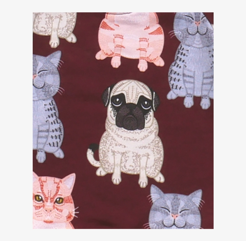 Filemon Kid Sweatshirt Fat Cats & Pug Aop - Sweatshirt, transparent png
