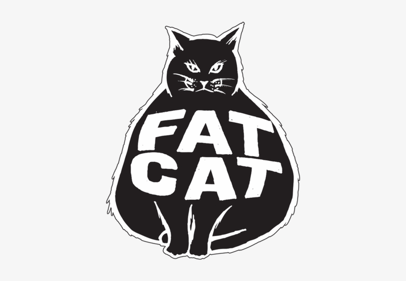 The Fat Cat I One Of Our Most Popular Performance Shortboards - Cartoon, transparent png