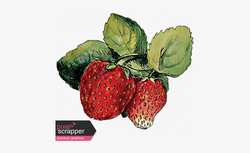 Strawberry Sketch 2 Strawberry Png, Strawberry Fields, - Strawberry Drawing, transparent png