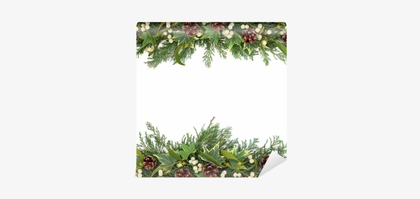 Free Christmas Floral Border, transparent png