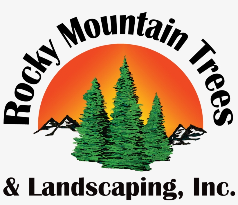 Rocky Mountain Trees & Landscaping Inc - Tree, transparent png