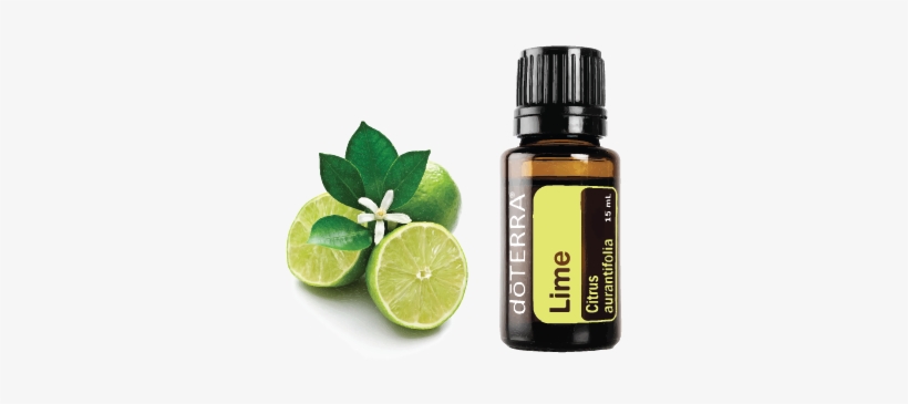 Doterra Essential Oils - Lime 15ml, transparent png