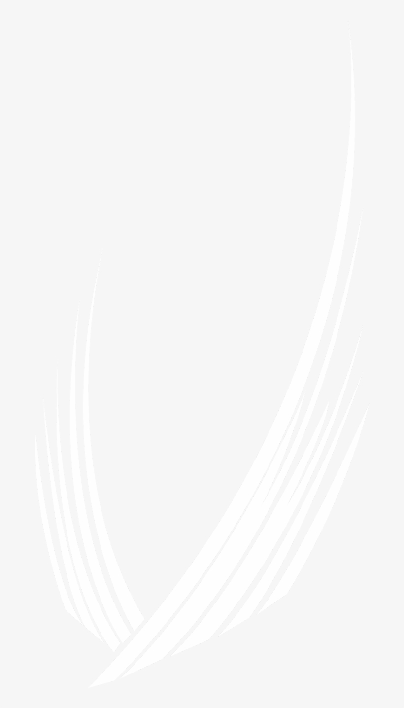 Mizzou- Med - Png Format Twitter Logo White, transparent png