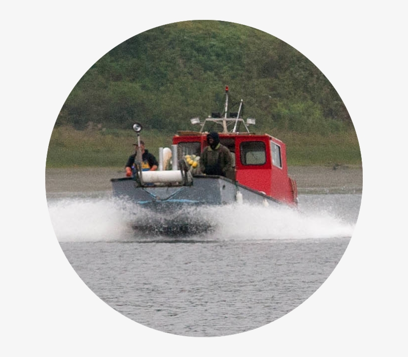 Round-2 - Powerboating, transparent png
