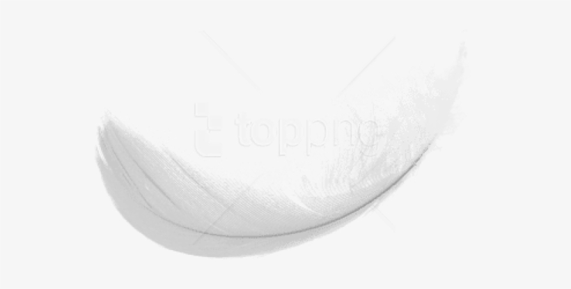 Free Png Simple White Feaher Png Png Images Transparent - Darkness, transparent png