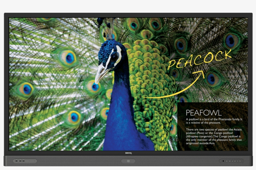 75" Education Interactive Flat Panel Display Rp750k - Benq Education Interactive Flat Panel Display, transparent png