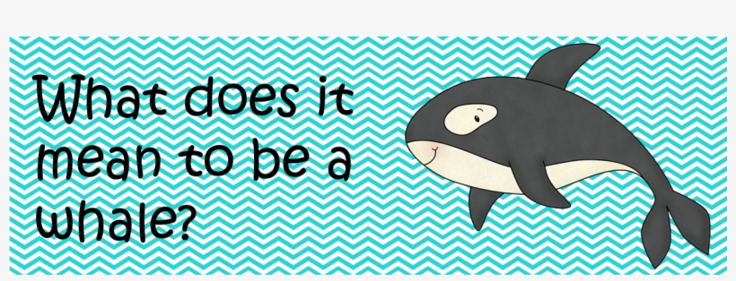 However, Our Name Teaches Us Something Very Important, transparent png