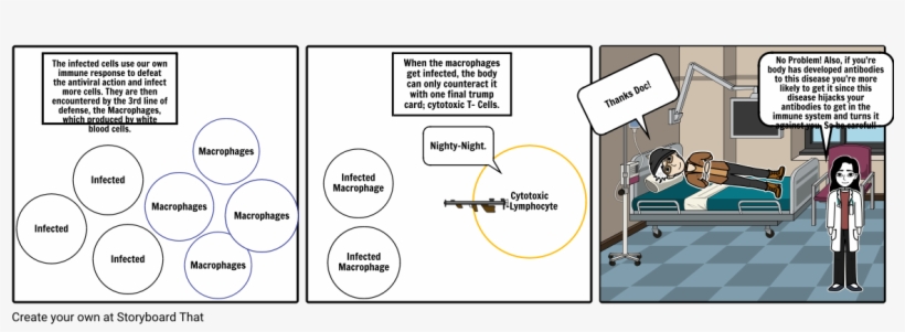 Ross River Disease Part - Diagram, transparent png