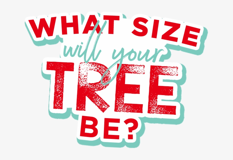 What Size Will Your Tree Be - Illustration, transparent png