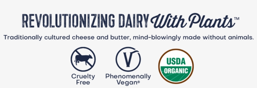 Play Video - Circle, transparent png