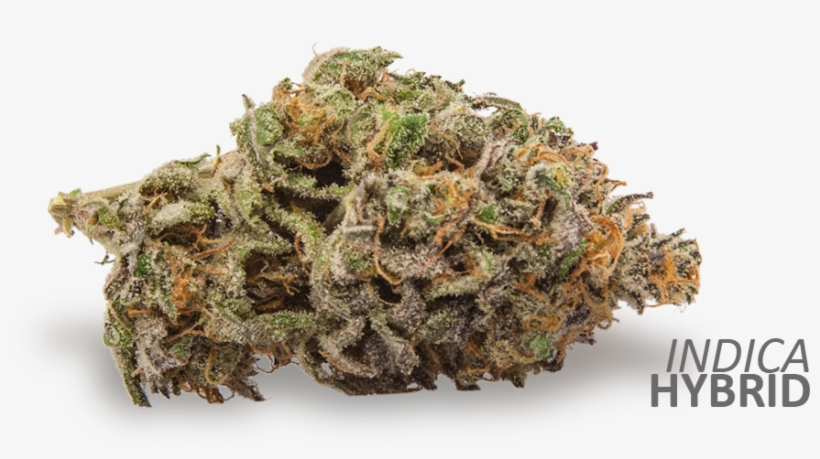 Black Afghan Is A Complex Strain With Euphoric And - Honeybee, transparent png