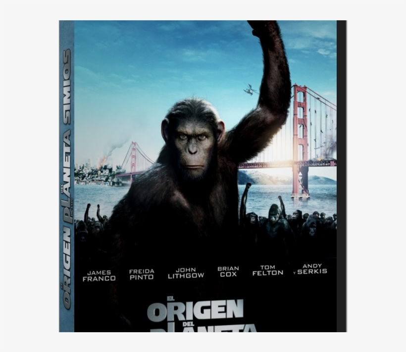 James Franco And Freida Pinto - Rise Of The Planet Apes 2011, transparent png
