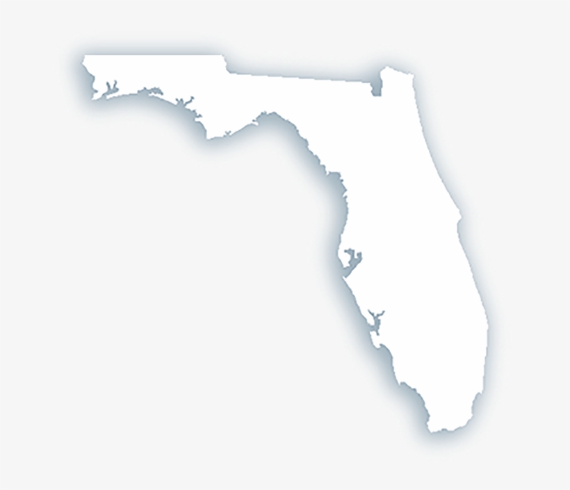 To The Office Of Citrus County Supervisor Of Elections - Darkness, transparent png
