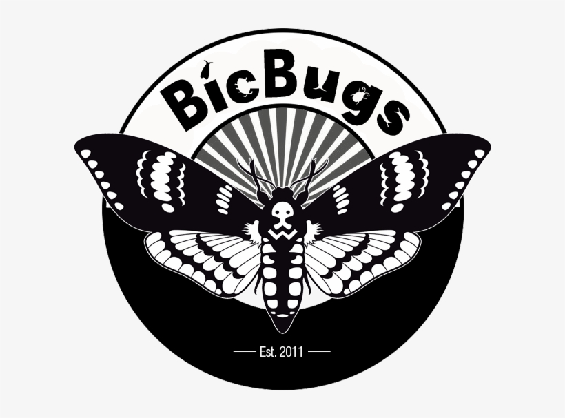 Bicbugsllc Bicbugsllc - Draw Deaths Head Moth, transparent png