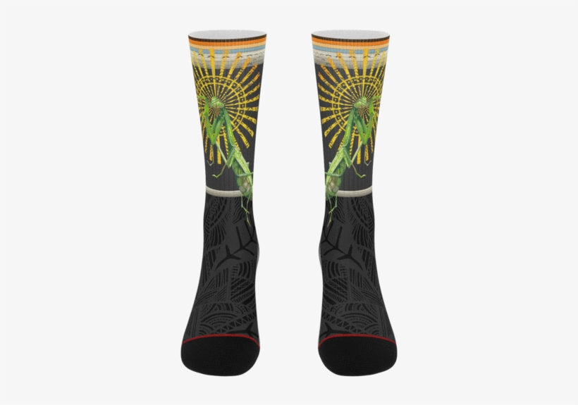 Phylth Amendment Praying Mantis Socks - Vase, transparent png