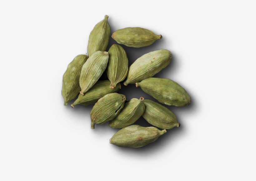 Cardamom - Pointed Gourd, transparent png