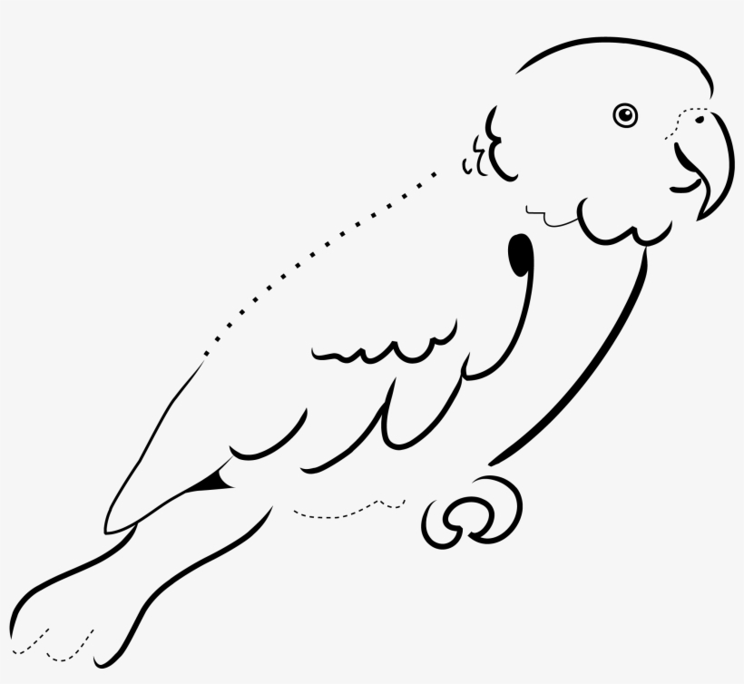2400 X 2400 3 - Parrot Black And White, transparent png