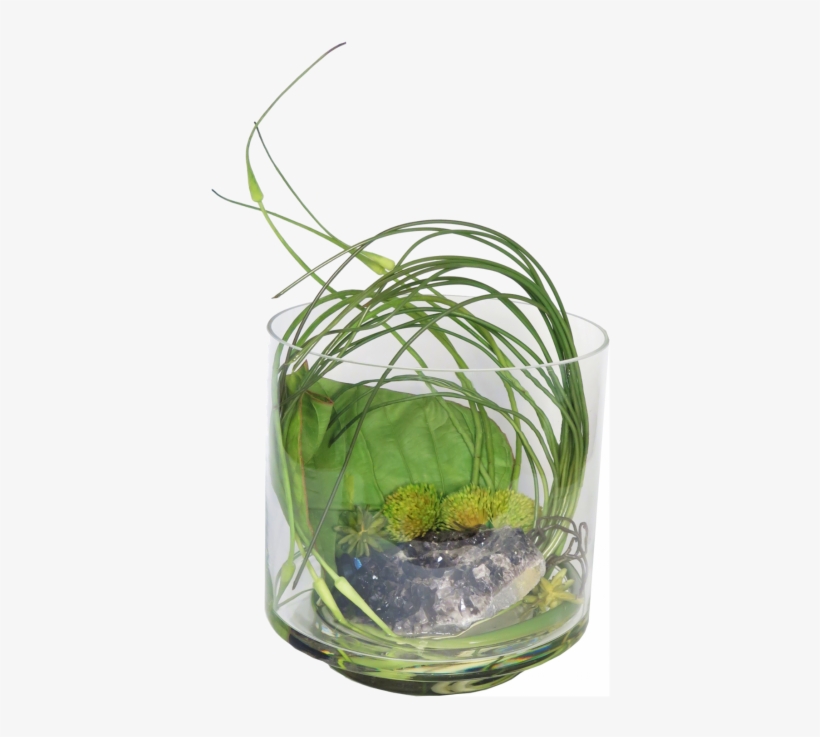Black Crystal, Large Leaf, Green/golden Protea, Allium - Vase, transparent png