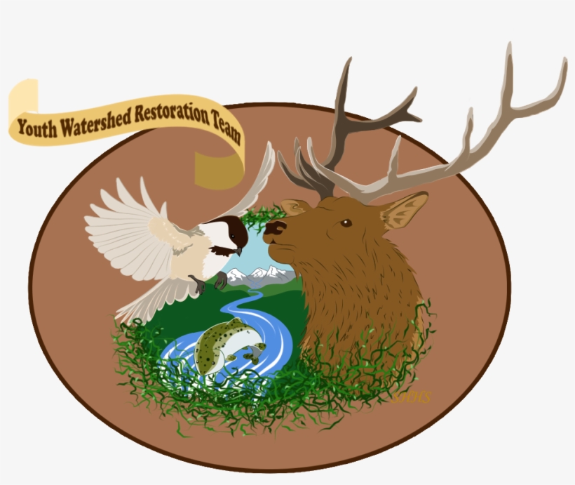 Shhs Watershed Restoration Team - Cartoon, transparent png