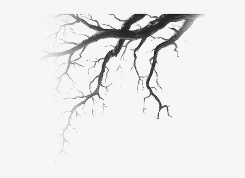 590 X 526 3 0 - Horror Fiction, transparent png