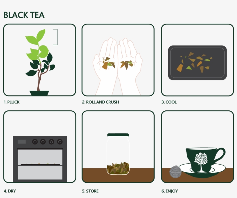 How To Make Your Own Tea - Cartoon, transparent png