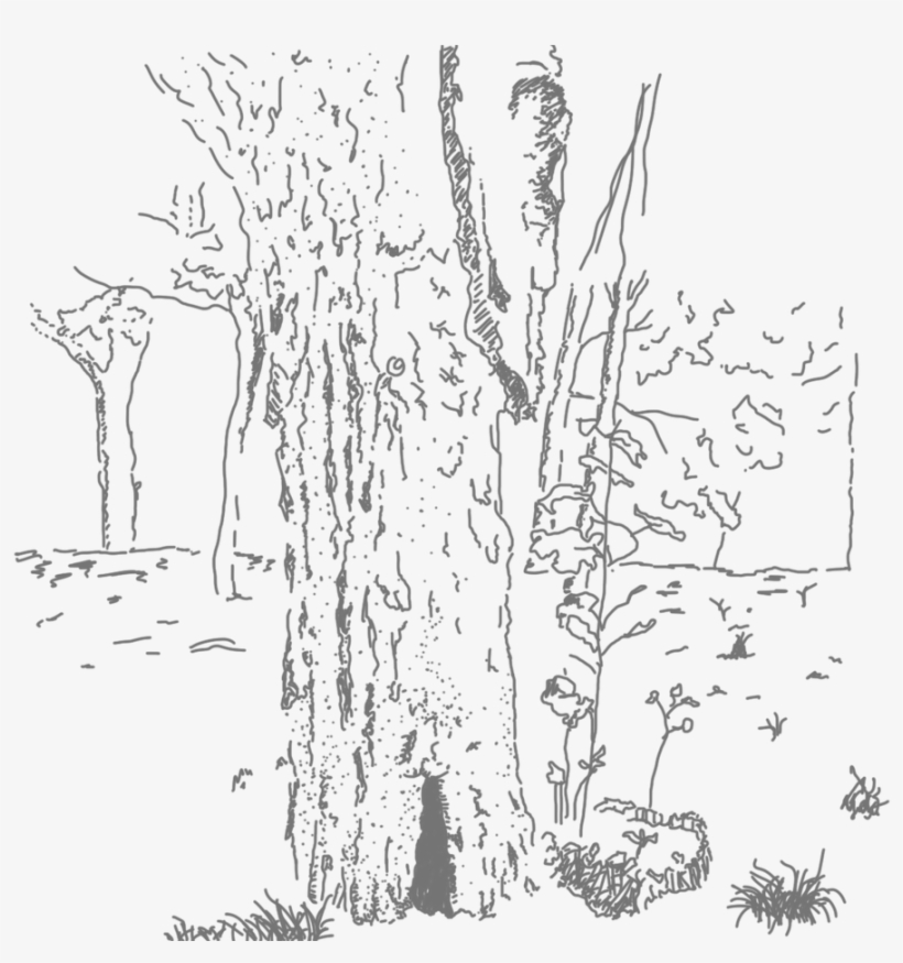 The Moment I Write This Last Number, Black Clouds Roll - Pond Pine, transparent png