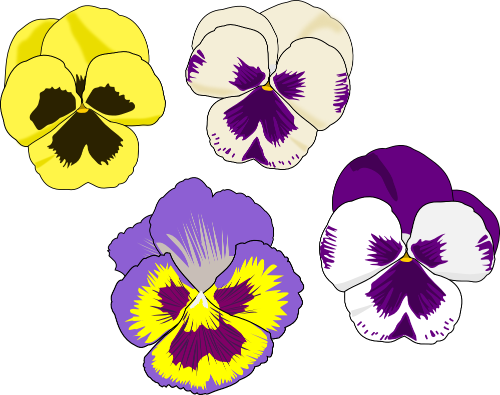 Violet Family, Pansy, Viola, Violet, Flowering Plant, - Pansy Flower Clip Art (999x790), Png Download
