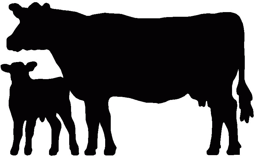 Collection Of Free Calces Clipart Cattle Herd - Cow Silhouette (822x506), Png Download