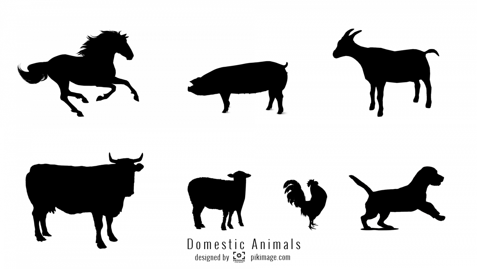 Vector Image Domestic Animal Silhouette Png File - Horse (1560x878), Png Download