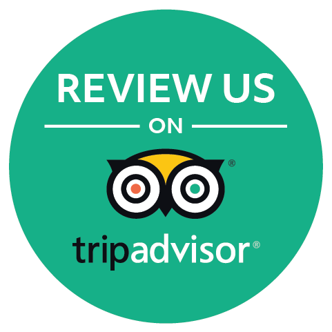 Find Out What Other Folks Are Saying About Us, Or Leave - Tripadvisor Interactive Luggage Tag - Tripadvisor Owl (481x481), Png Download