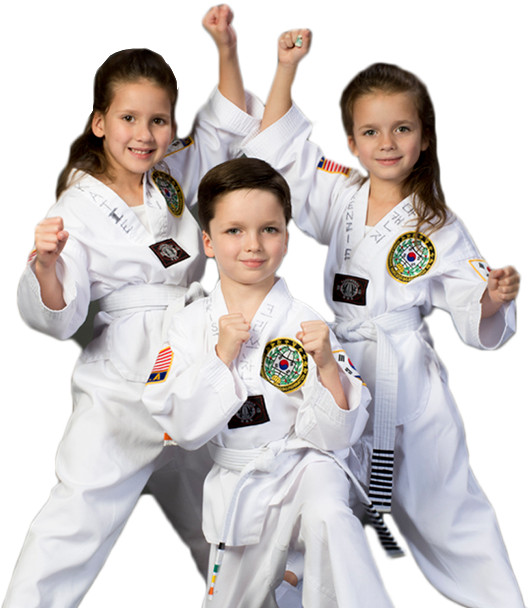 Welcome To - Karate Images Indian (2550x1315), Png Download