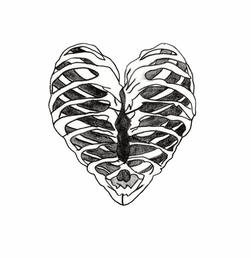 Heart, Bones, And Black And White Image - Skeleton Heart Transparent (500x514), Png Download