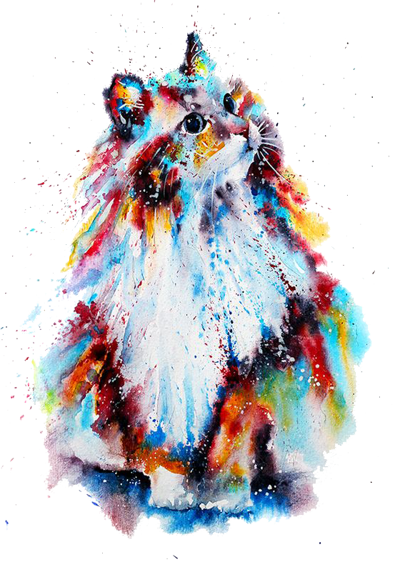 Watercolor Painting Drawing Illustration - Watercolor Drawing Of Cat (553x787), Png Download