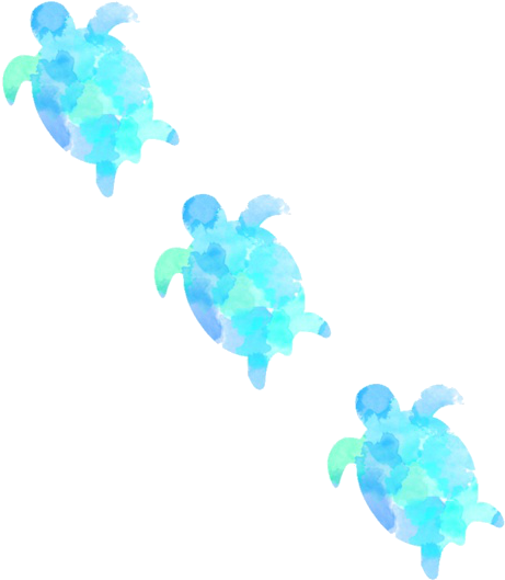 Tumblr Watercolor Png - Watercolor Sea Turtle Clip Art (500x572), Png Download