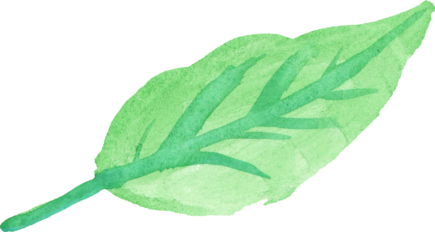 Watercolor Leaf 4 - Watercolor Green Leaf Png (1482x791), Png Download
