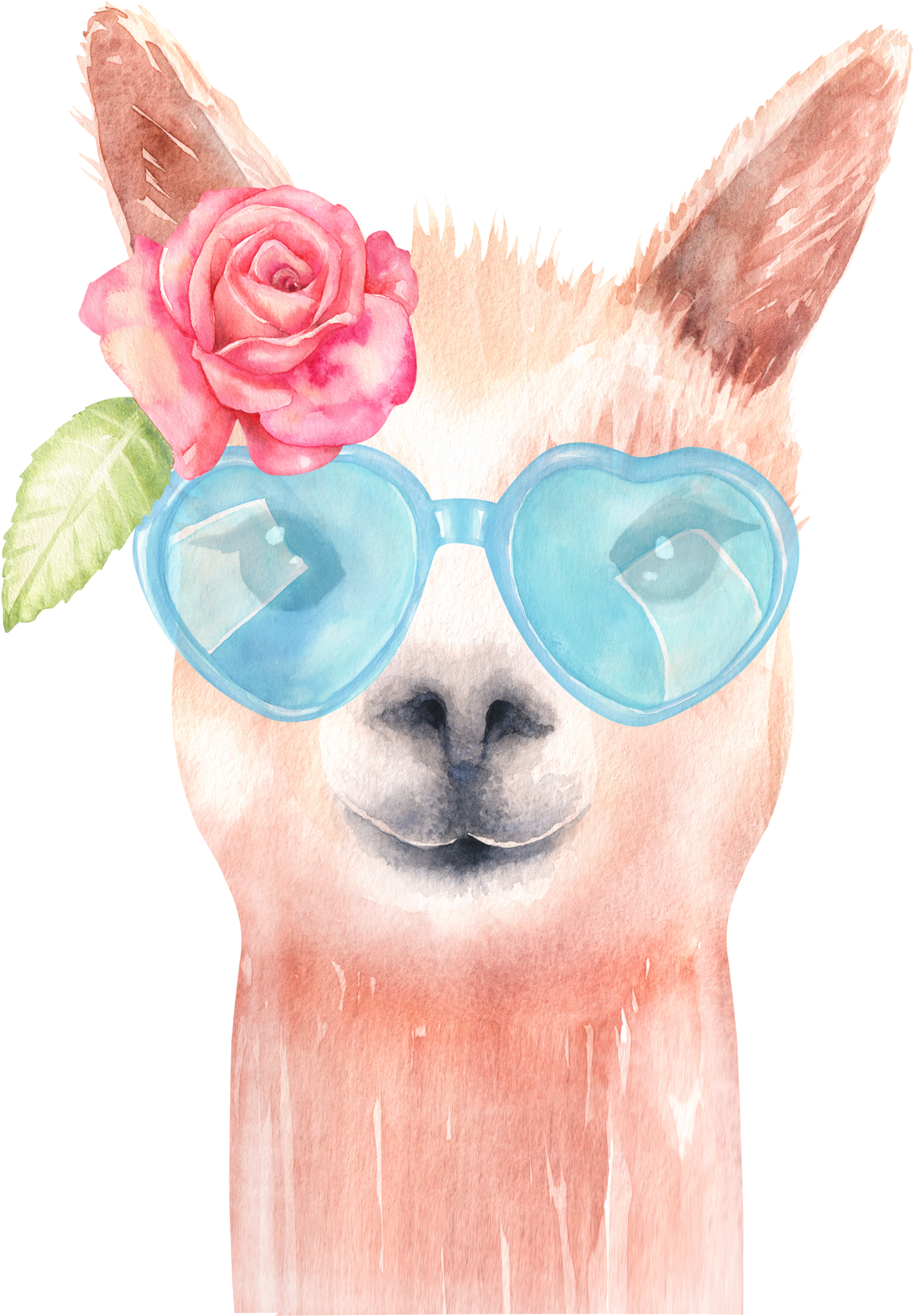 Llama Watercolor - Watercolor Llama Clipart (2210x3000), Png Download