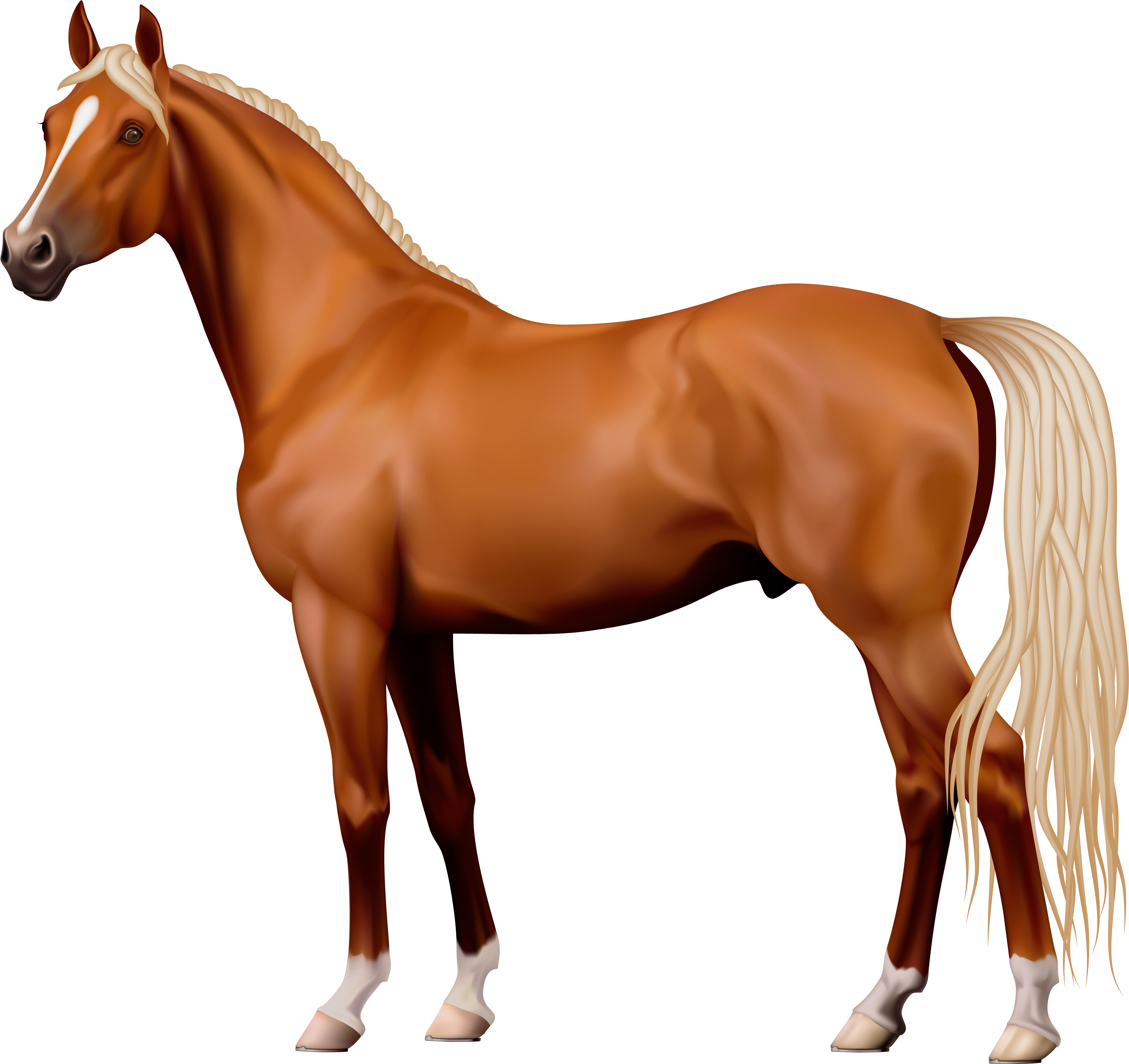 Brown Horse Png Clipart - Horse Png (4120x3894), Png Download