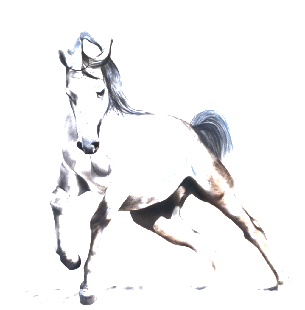 This Graphics Is Watercolor Running Horse Pattern Elements - Watercolor Painting (1024x1041), Png Download