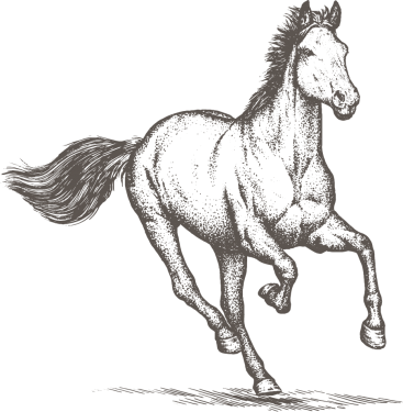 Horse Png Clipart - Horse Engrave (367x375), Png Download