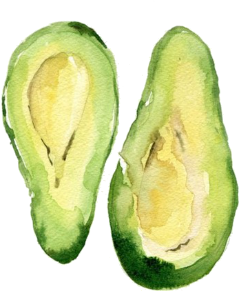 Tumblr - Avocado Watercolor (500x500), Png Download