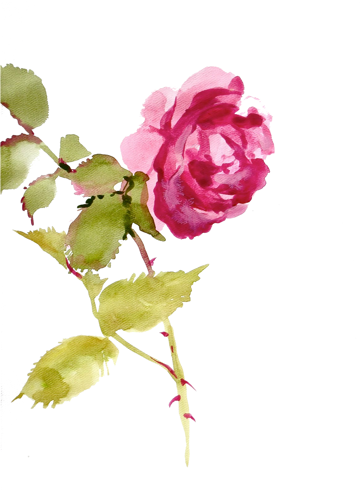 Http Jaehos Tumblr Com Post Texture Pack - Watecolor Flowers (1183x1600), Png Download