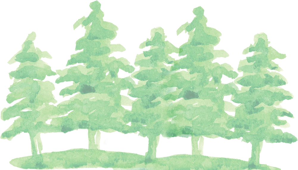 Watercolor Pine Tree Png - Transparent Watercolor Christmas Tree Png (1000x600), Png Download