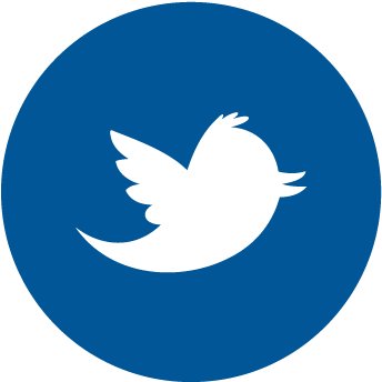Twitter Vector Facebook Logo - Dash Coin Logo Png (360x360), Png Download