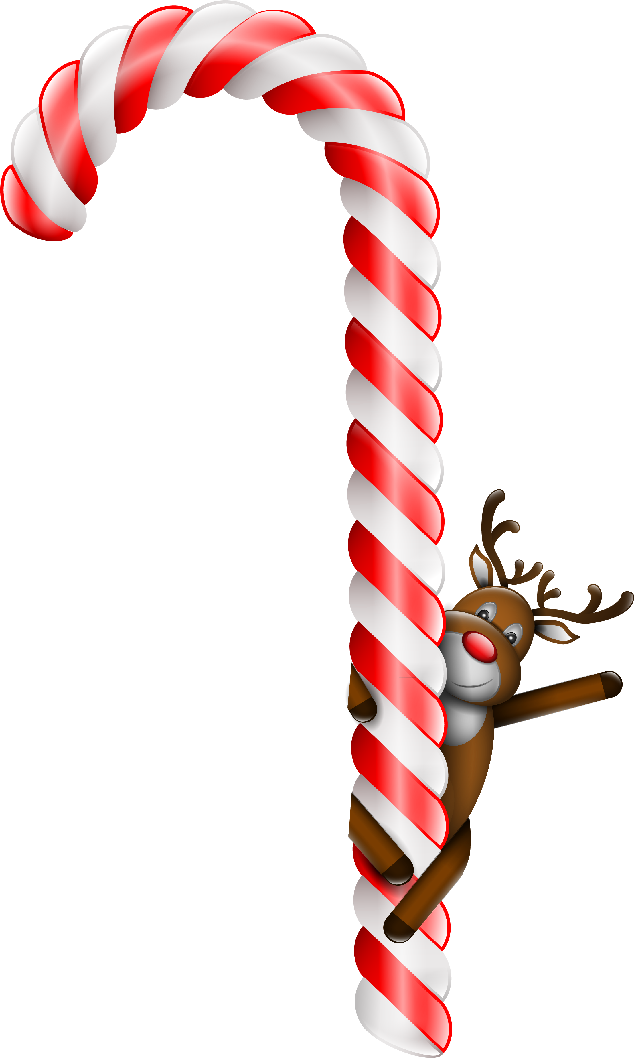 Transparent Large Christmas Candy Cane With Deer Png - Ren Auf Zuckerstange Postkarte (2304x3760), Png Download