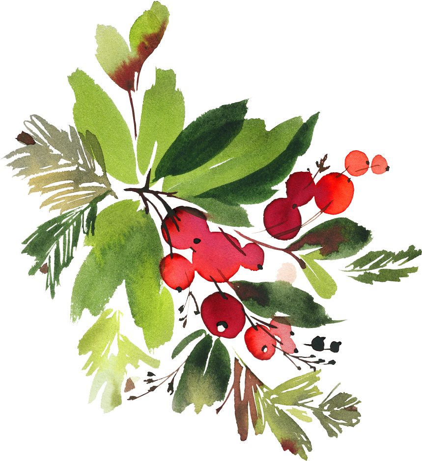 Snowman Watercolor Flowers Png - Christmas Berry Watercolor (1000x1000), Png Download