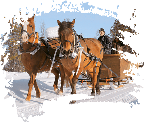 Carousel Horse Sled - One Horse Sleigh Watercolor (500x450), Png Download