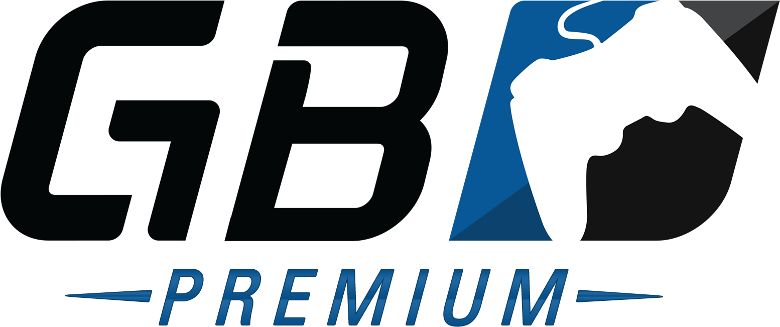 $300 Premium Free For All 04-13 Tournament - Major League Gaming (1920x1080), Png Download